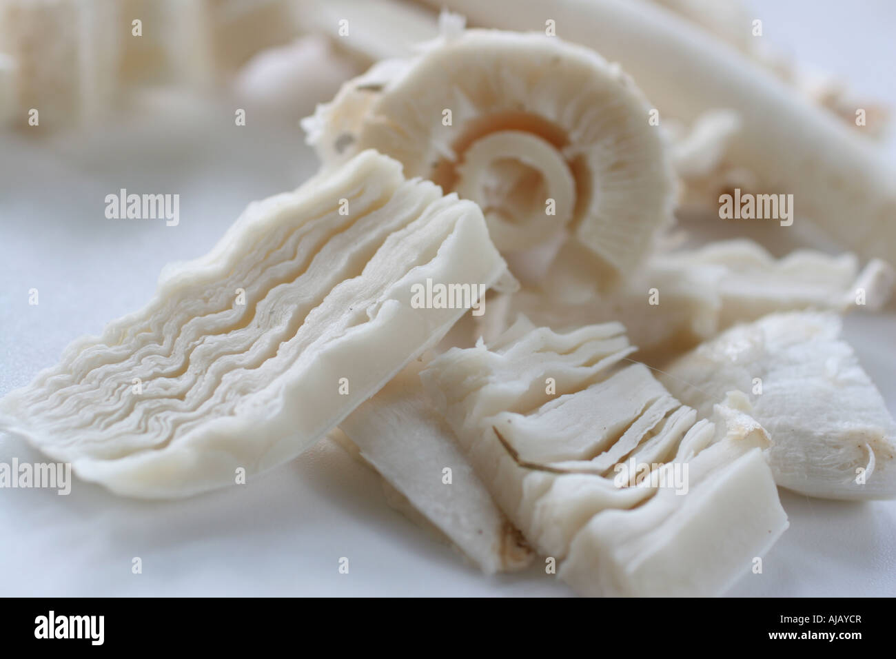 Shaggy mane mushroom sliced on white cutting board Stock Photo