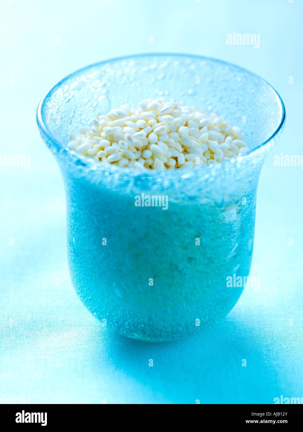 Rice Stock Photo