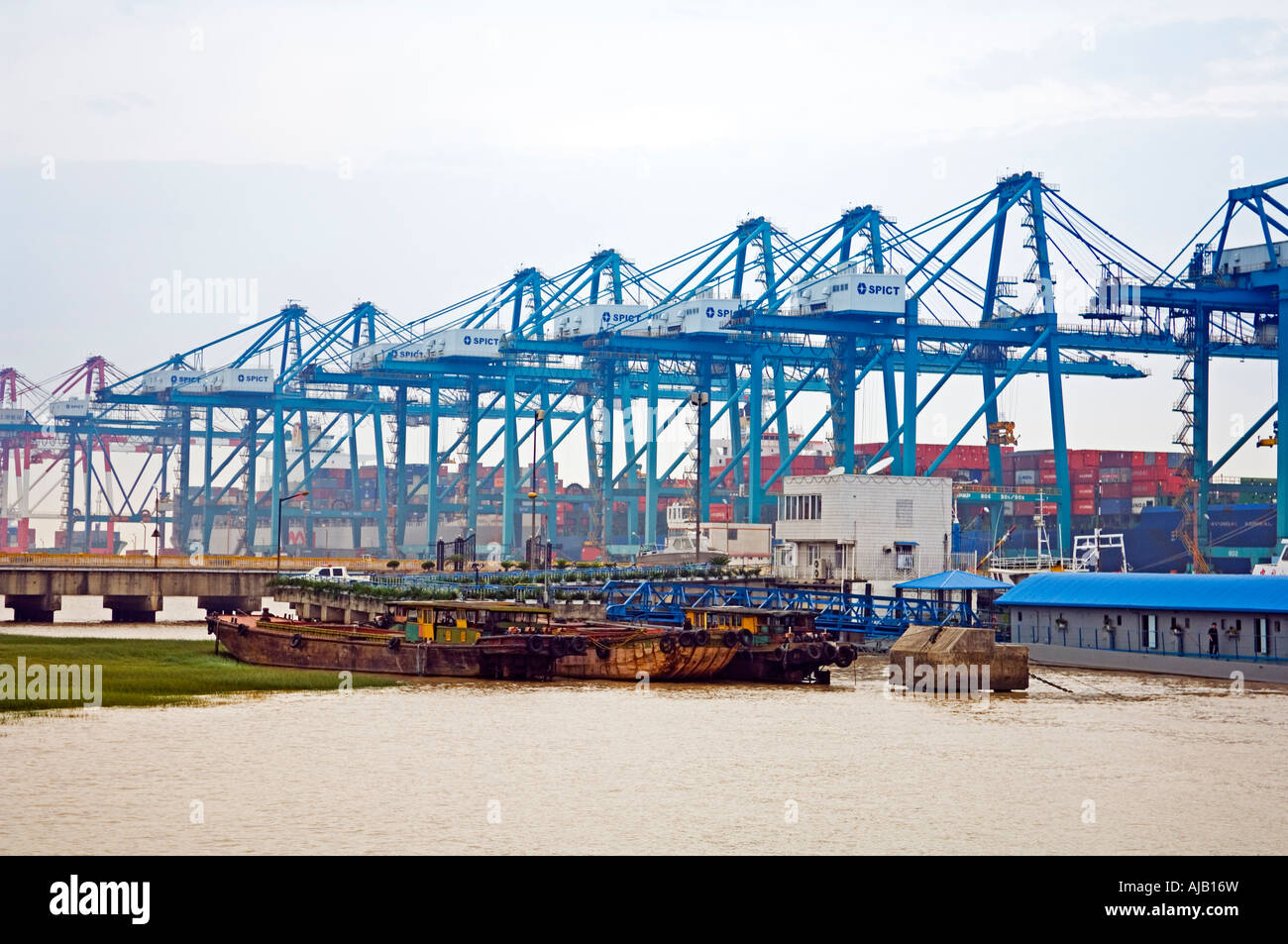 Cargo container ships at a harbour of Shanghai Stock Photo Alamy
