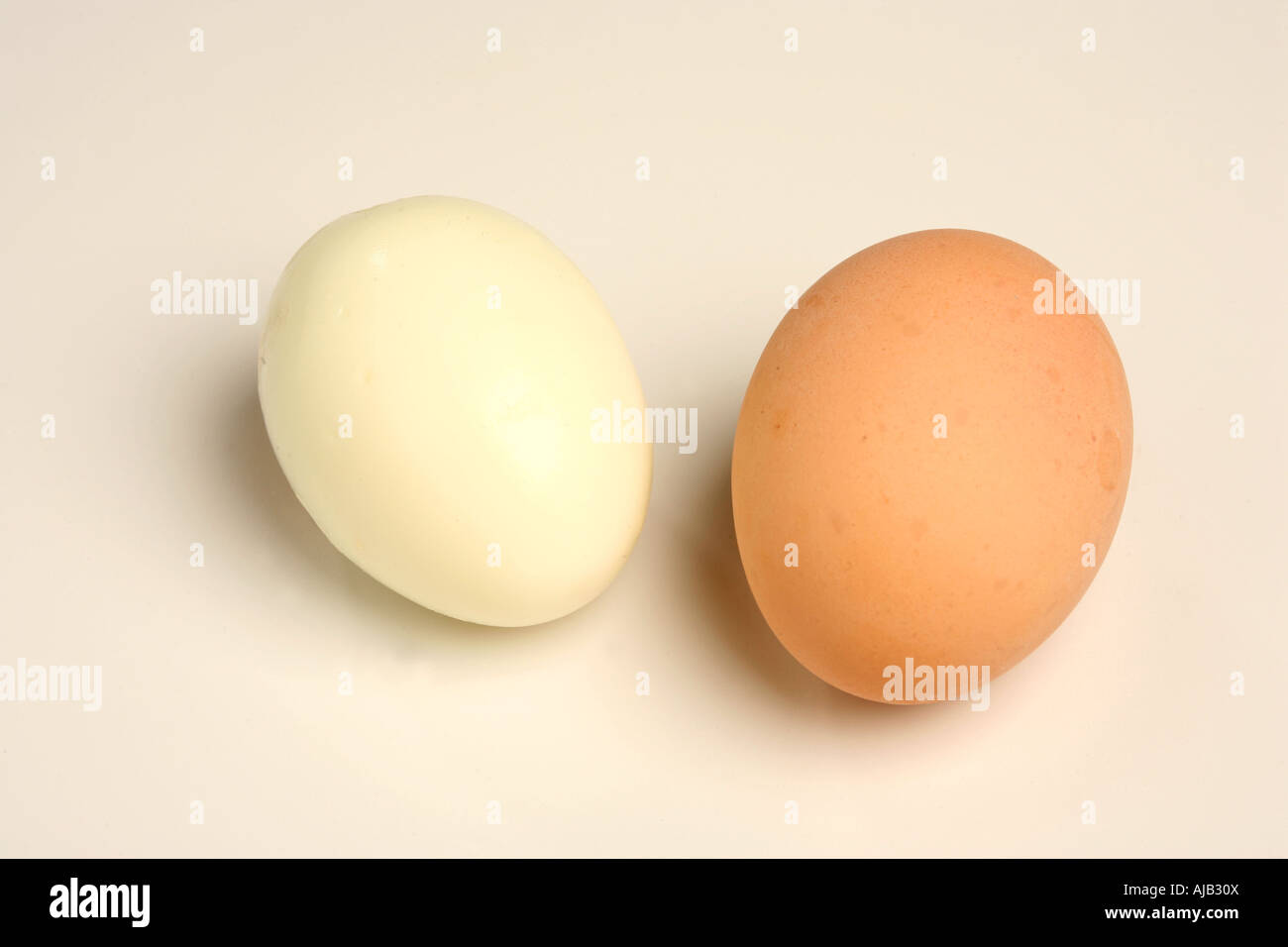 A cutout of two eggs against a white background Stock Photo