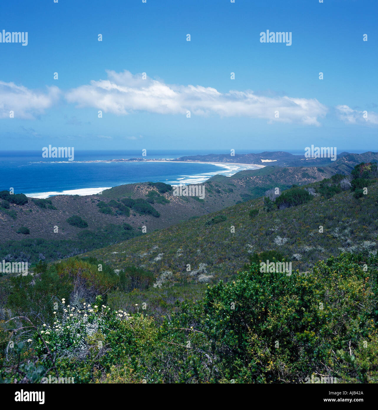 Cape Brenton Africa Why Tracks Matter More Than Bones