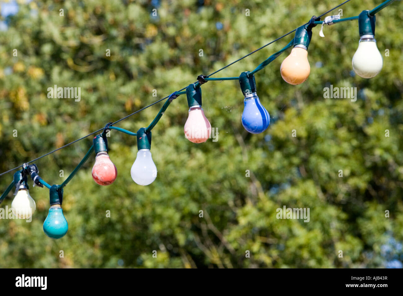 String of light bulbs Stock Photo Alamy
