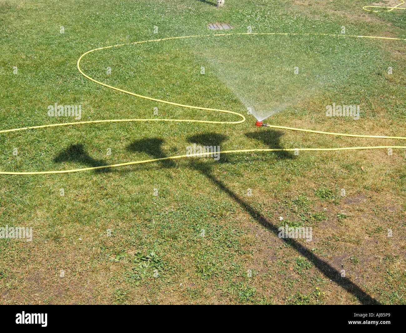 water sprinklers on grass in sports field Stock Photo Alamy