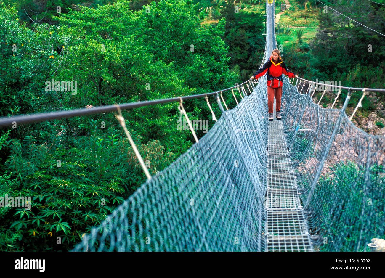 Walker Crossing The Buller Bridge The Longest Swingbridge In