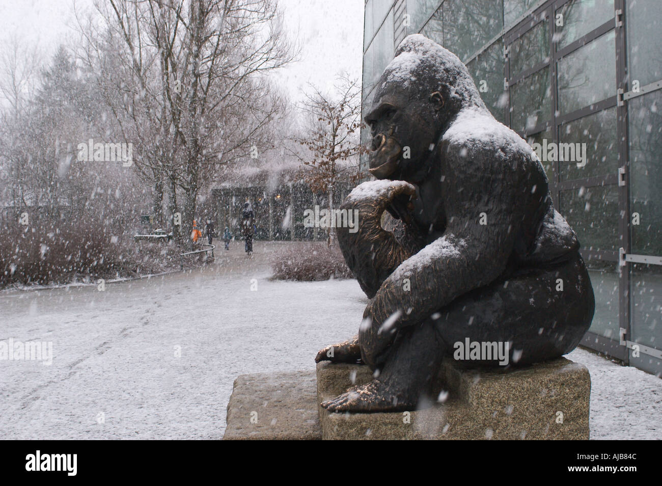 Statue of a Gorilla in snow flurry in front of the jungle house Tierpark Hellabrunn München Zoo Munich Stock Photo