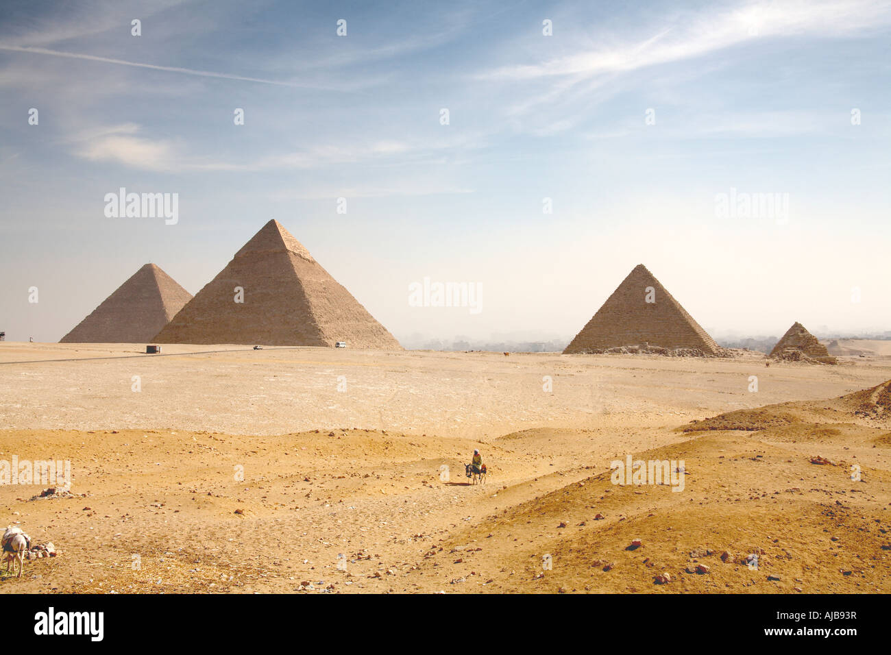 The pyramids viewed across stony desert from the south west with guide on a donkey Giza Cairo Egypt Africa Stock Photo