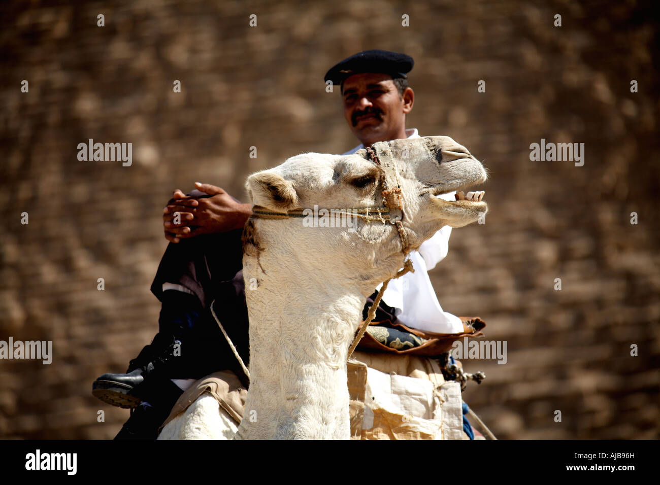 Egyptian tourist police policeman sitting on a camel guarding pyramids complex with Great Pyramid of Khufu Cheops beyond Giza C Stock Photo