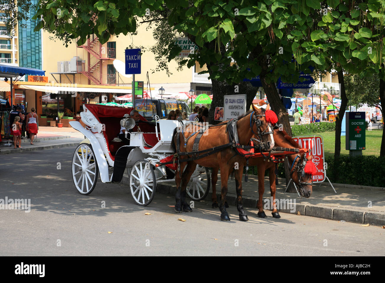 Bulgaria Black Sea Coast Sunny Beach Horse and carriage waiting for custom Stock Photo