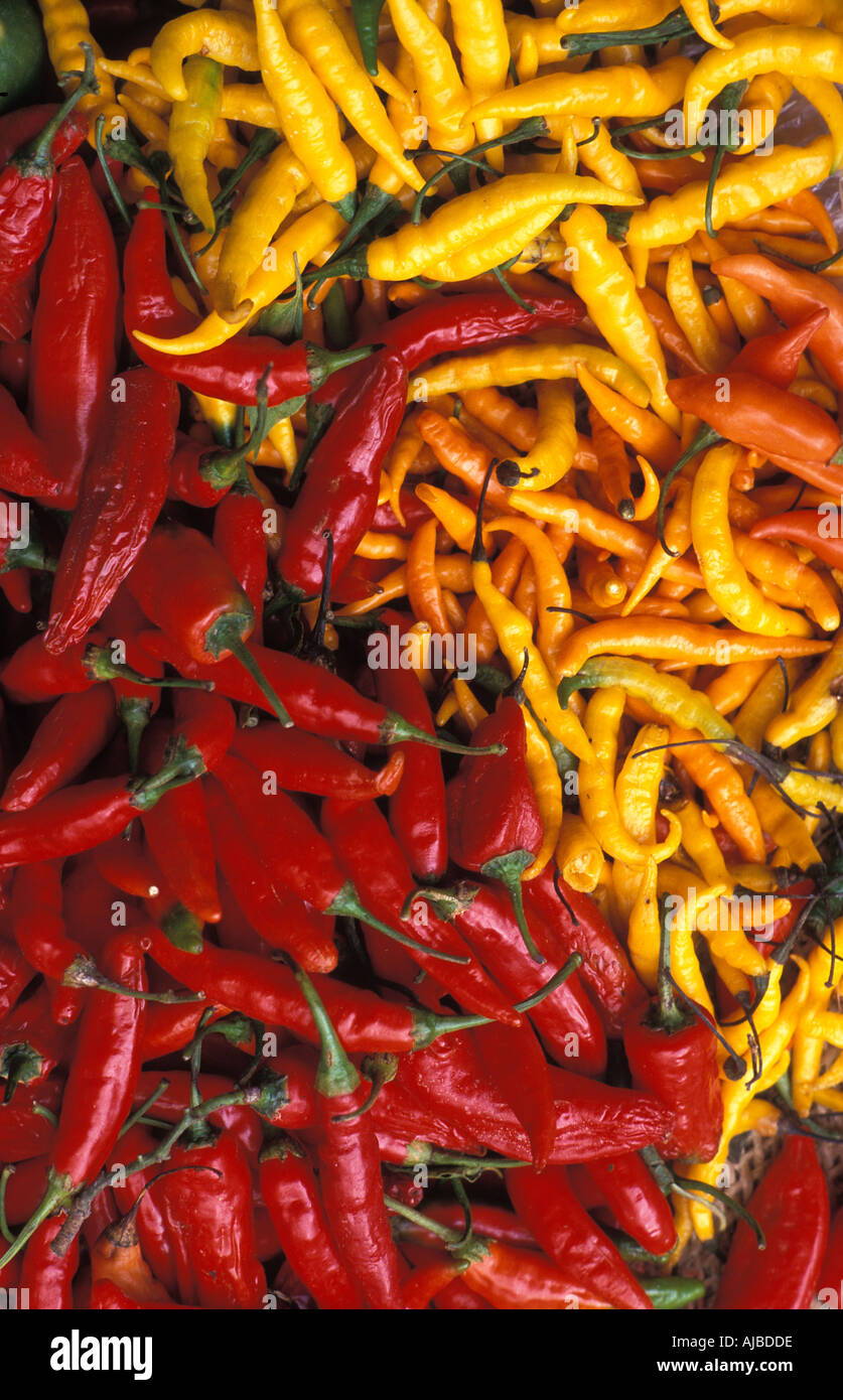 Red and yellow chilli peppers for sale at the rural village market of Silvia a Guambiano indian town Nr Popayan Colombia Stock Photo