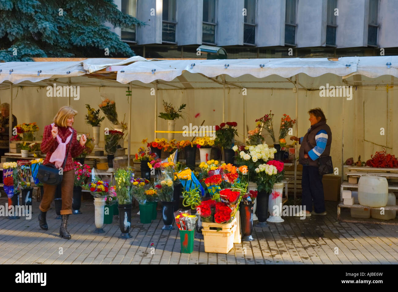 flower stall Pilies gatve street Vilnius Lithuania Stock Photo Alamy