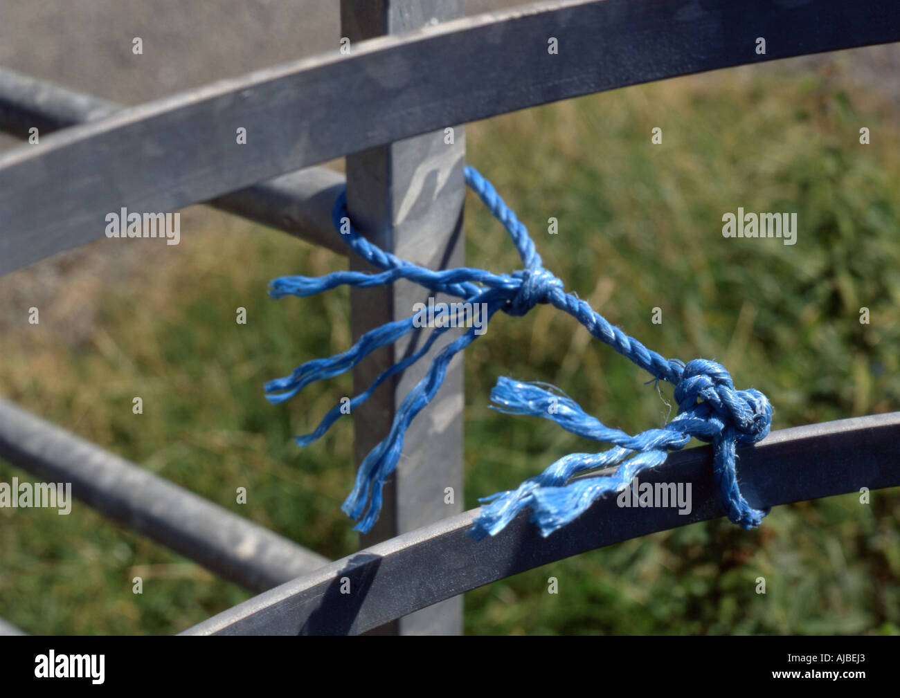 farm gate closed with blue rope Stock Photo - Alamy