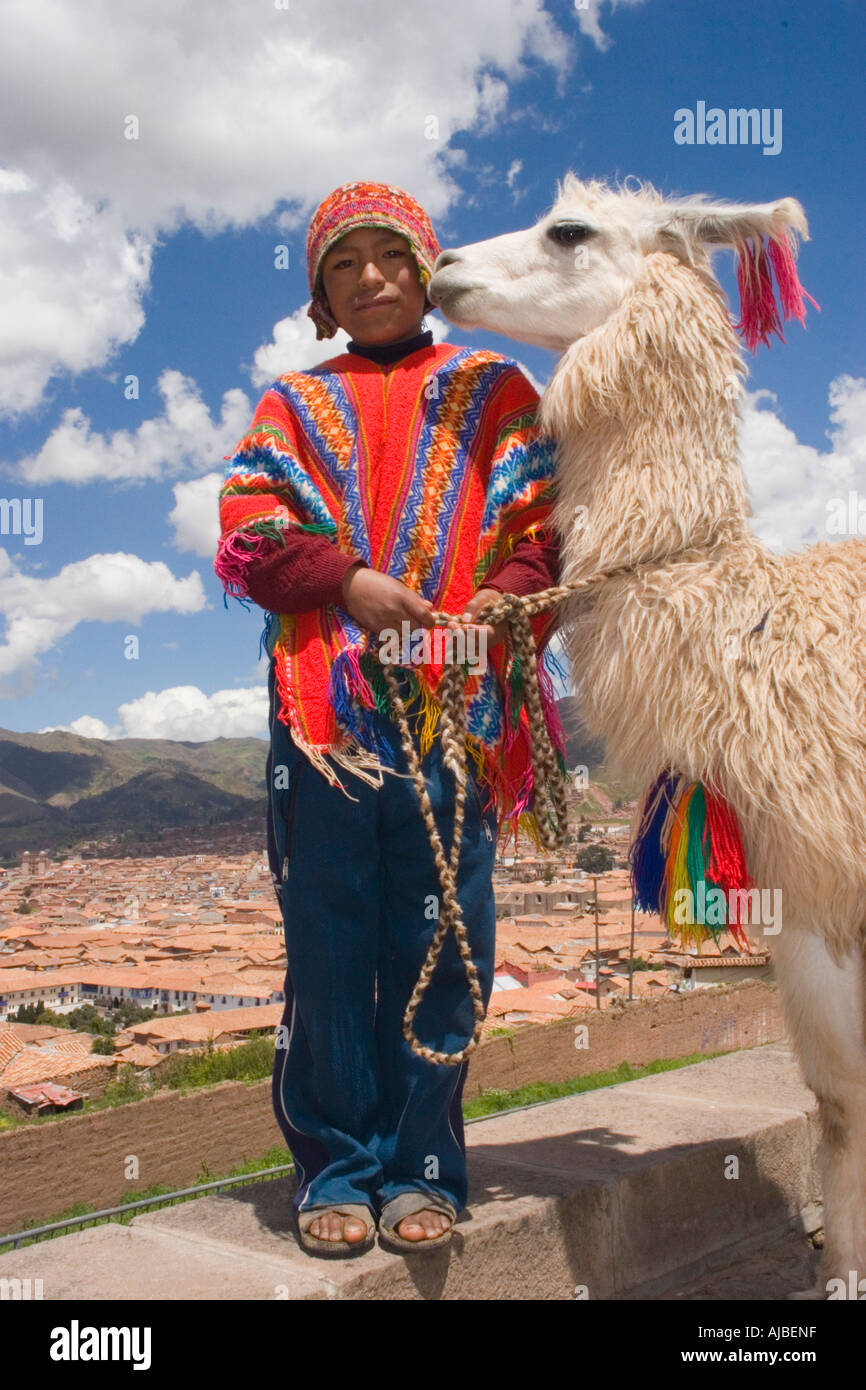 Young traditionally dressed Peruvian boy with alpaca infront of Cusco city  view Peru Stock Photo - Alamy