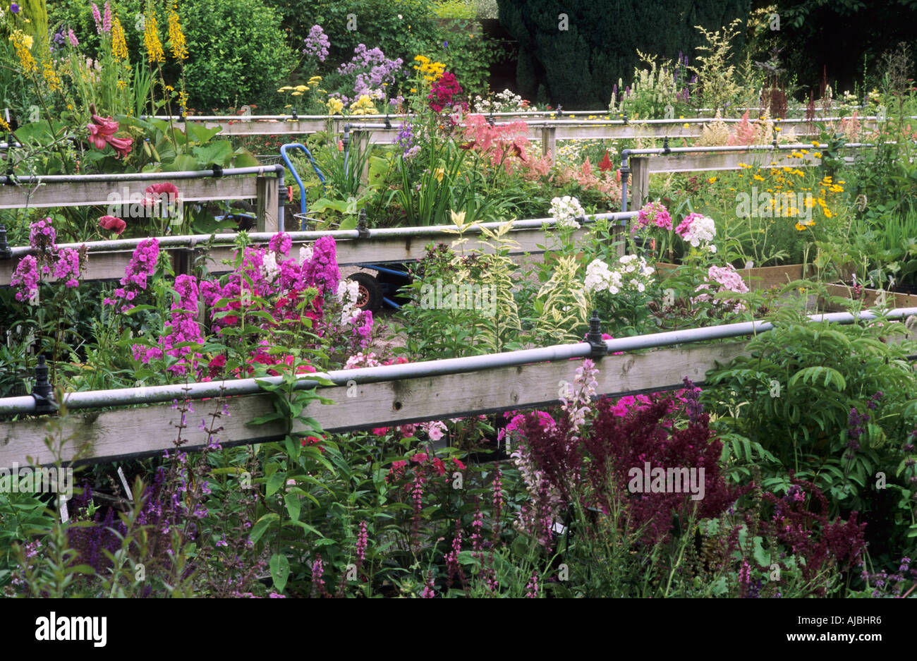 Garden Centre Nursery plant sales irrigation system trolley Stock Photo