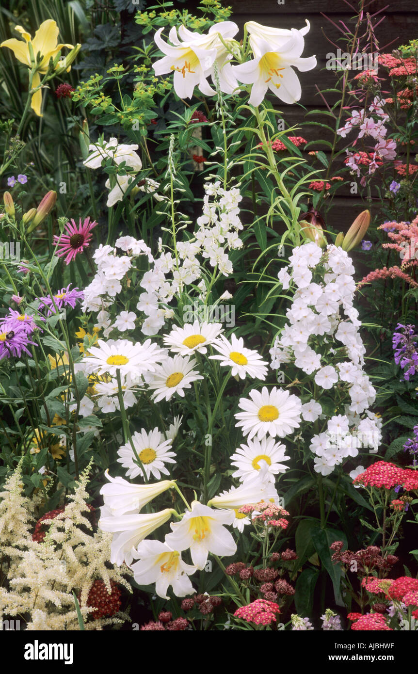 Herbaceous plants hi-res stock photography and images - Alamy