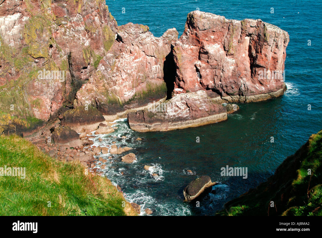 St Abbs Head Scotland Stock Photo