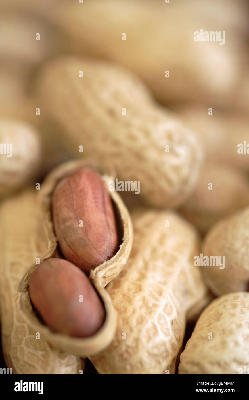 Close-up of Shelled Monkey Nuts (Arachis hypogaea) Stock Photo