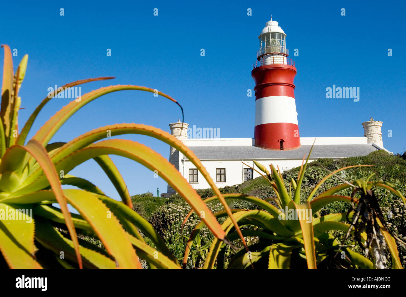 A Low Angle of a Light House with Aloe's i the Foreground Stock Photo