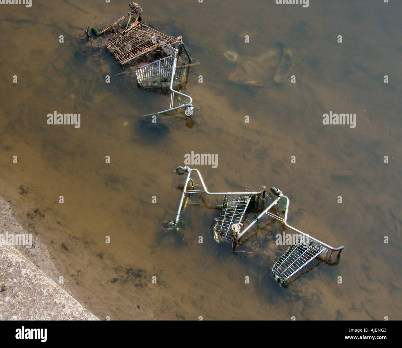 Four weed covered supermarket trolleys dumped in act of vandalism on their sides in River Taw Barnstaple North Devon England Stock Photo