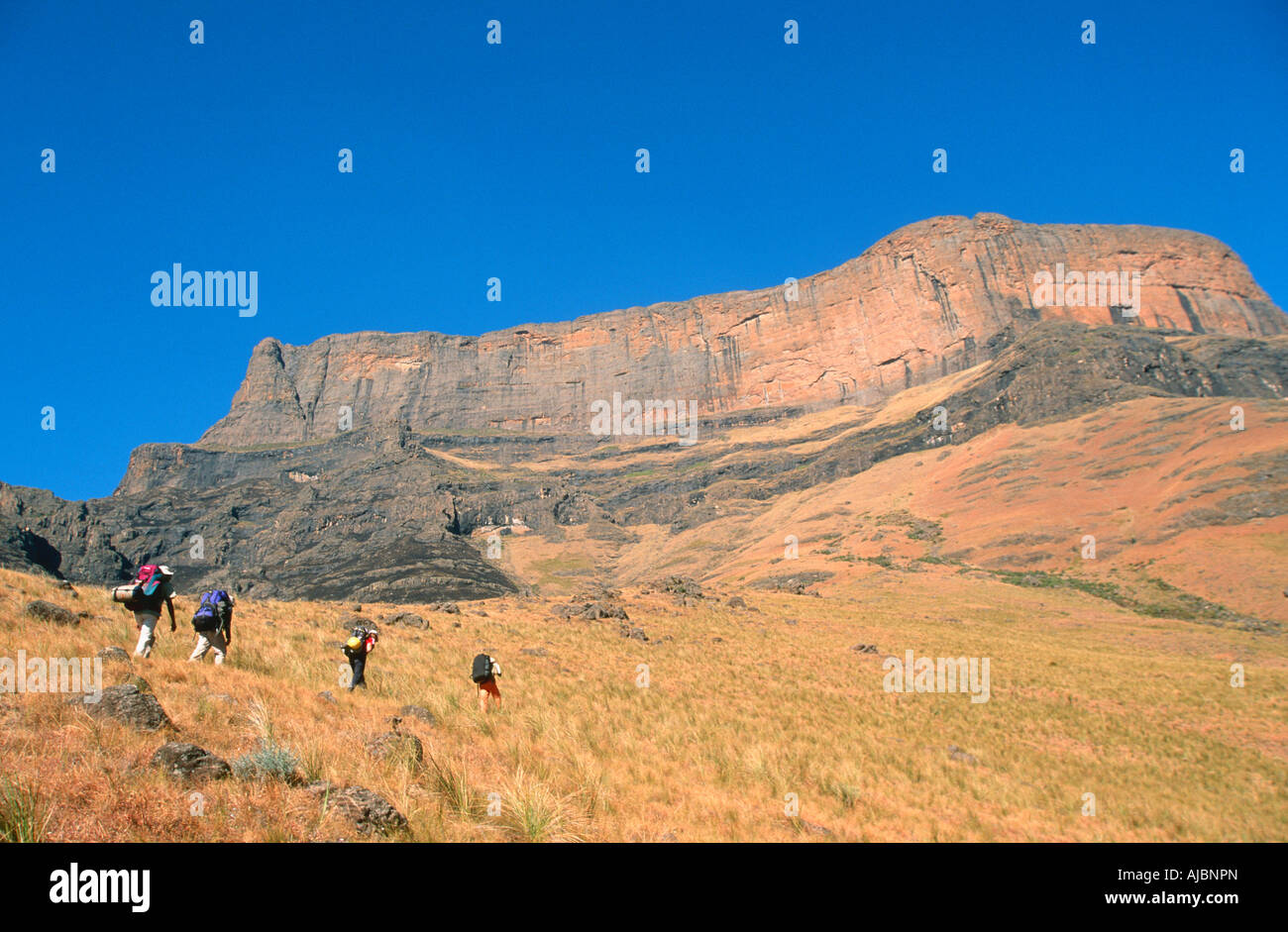 Group of Hikers Walking up Giant Castle Stock Photo
