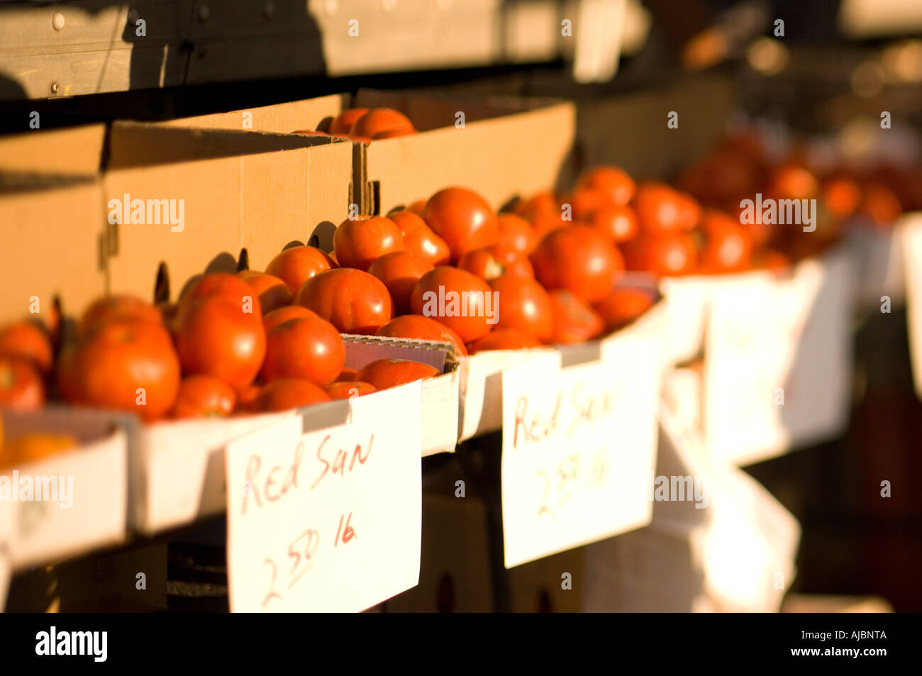 Tomatoes for sale at the Farmers Market Stock Photo - Alamy
