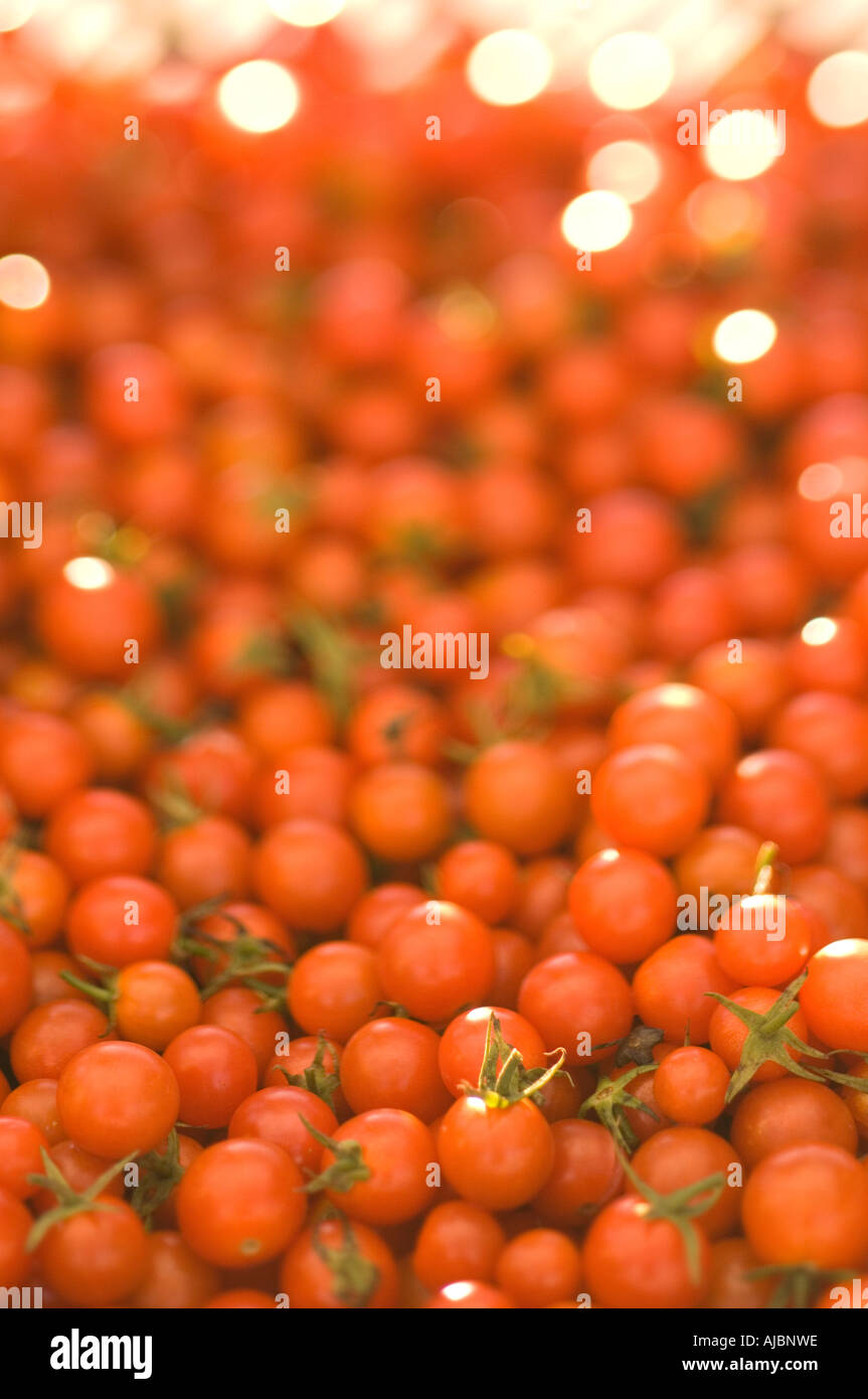 Tomatoes for sale at the Farmers Market Stock Photo - Alamy