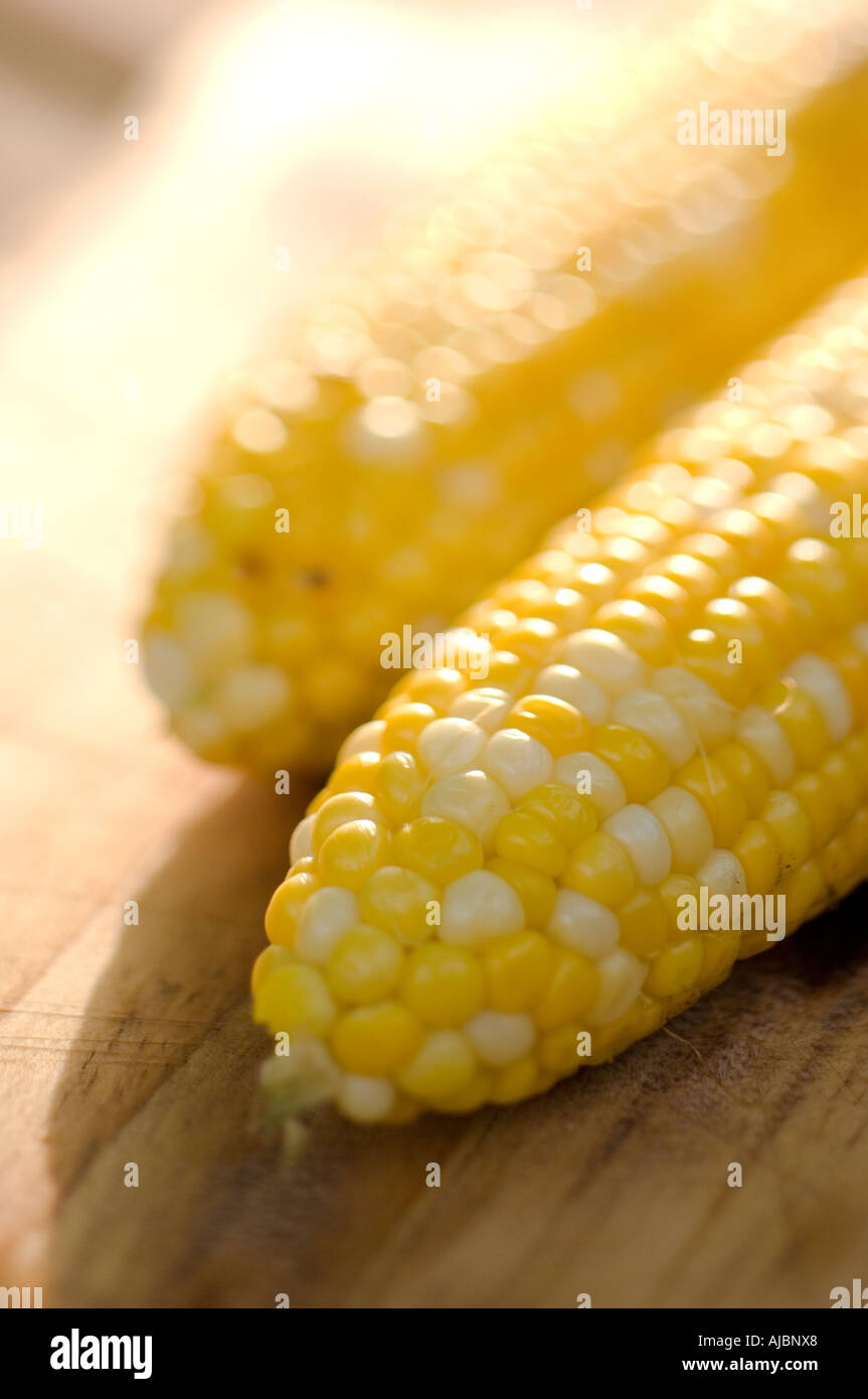 Corn on the Cob Stock Photo