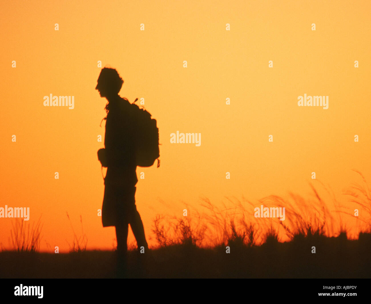 Side profile of a man hi-res stock photography and images - Alamy