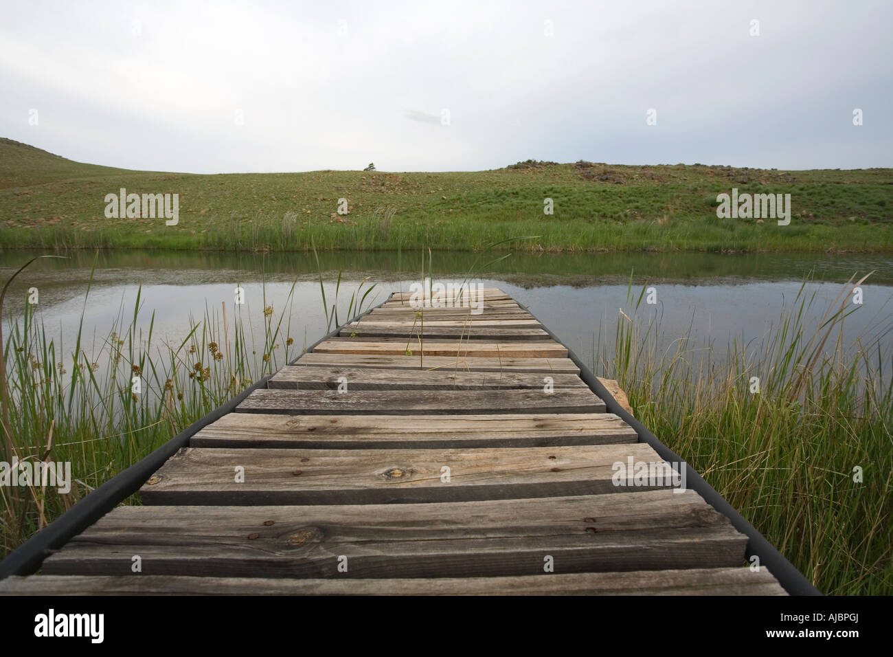 Jetty Surrounded by Rural Fishing Landscape Stock Photo - Alamy