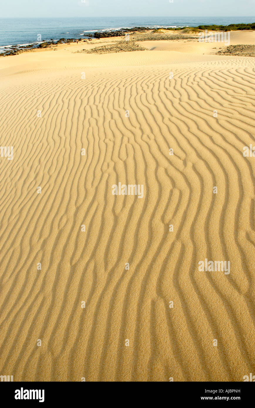 Repeating pattern fish hi-res stock photography and images - Alamy