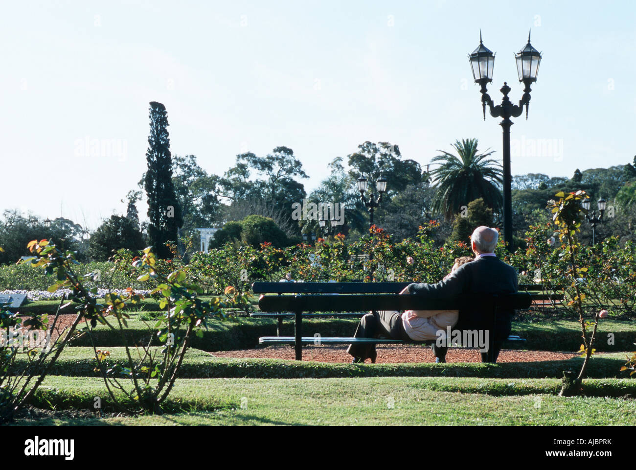 Portrait of an Elderly Couple Sitting on a Park Bench Stock Photo - Alamy