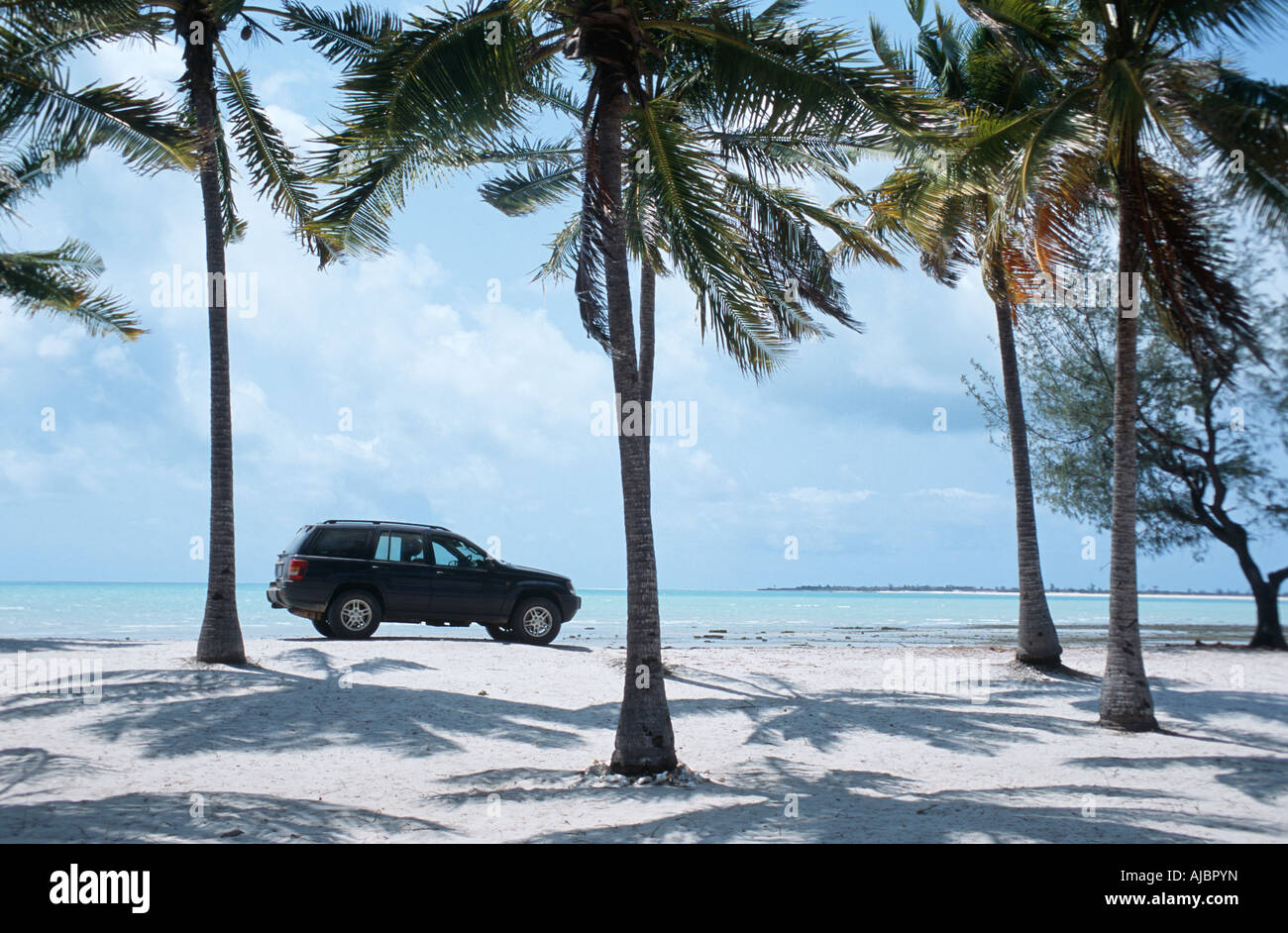 4x4 Vehicle Parked Under the Palm Trees on the Beach Stock Photo - Alamy