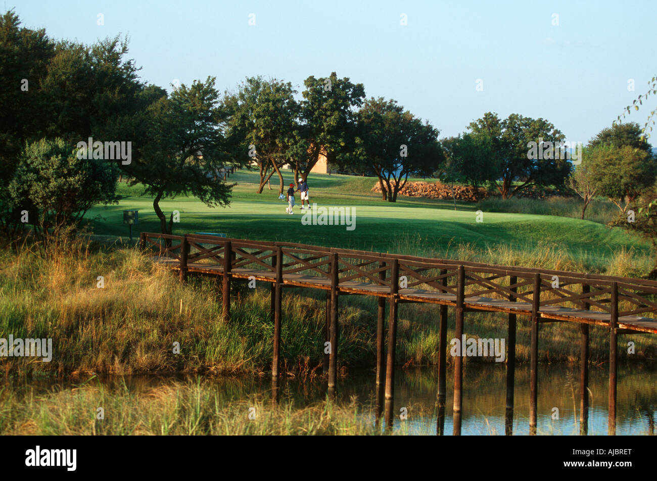 Long Shot of a Father and Son Playing Golf Stock Photo