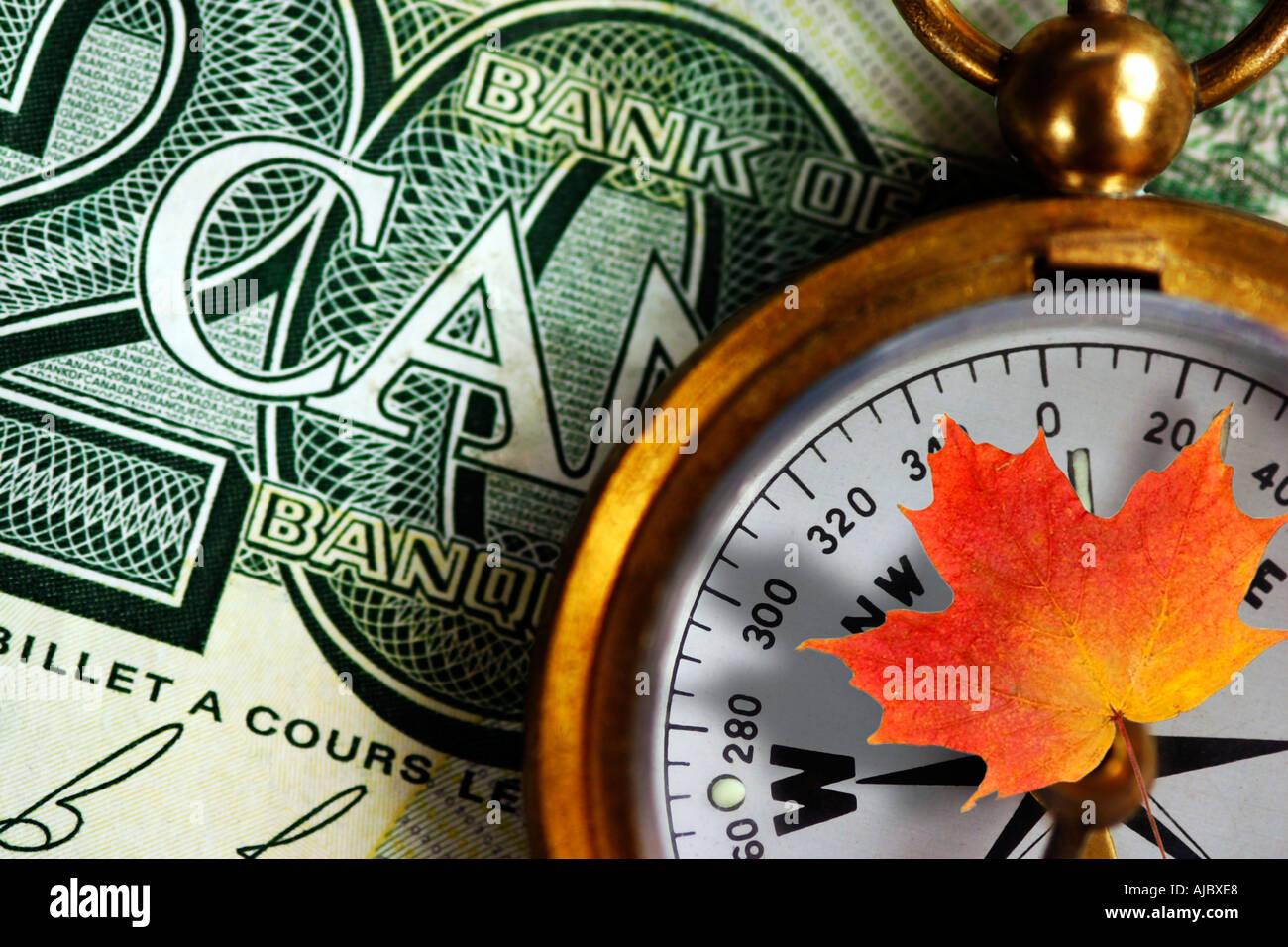 Money Canadian Money Looney Canada Compass Stock Photo Alamy