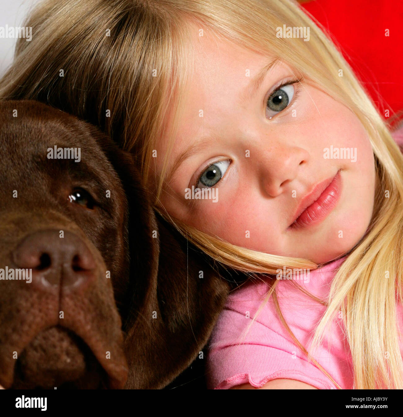 Portrait of a Young Girl and her Dog at Christmas Stock Photo