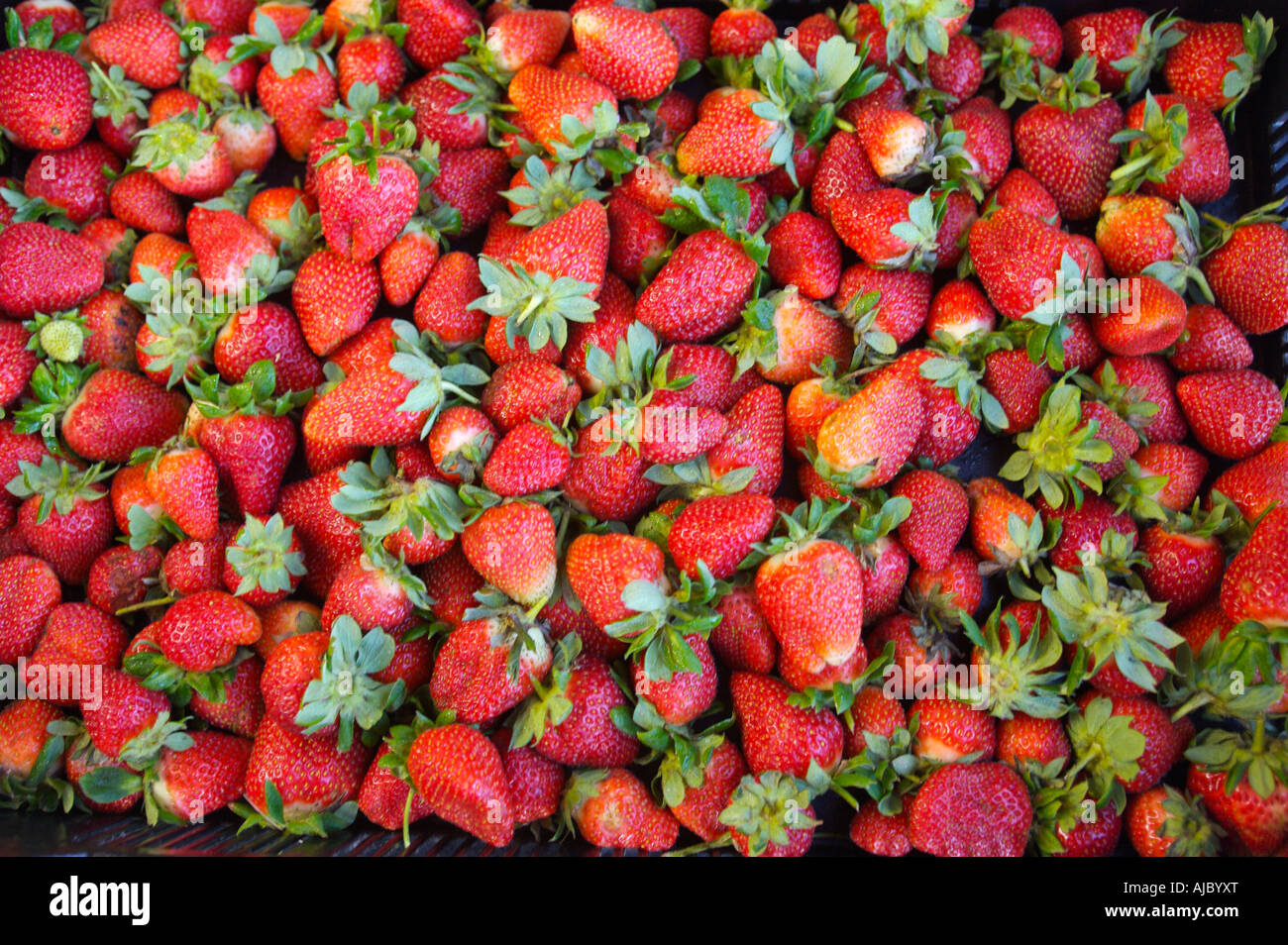 Close-Up of Strawberries (Full Frame Stock Photo - Alamy