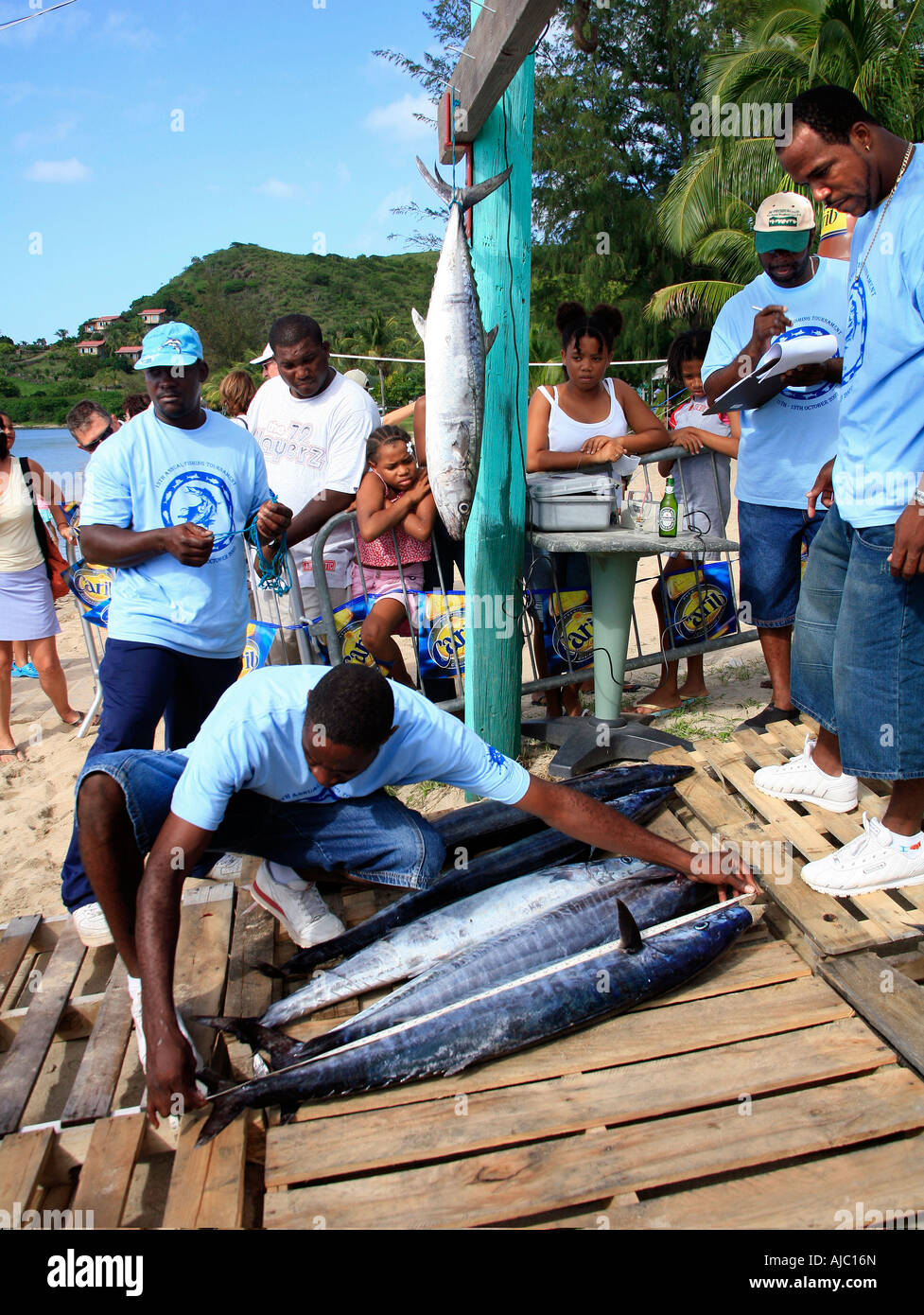 The Nevis Fishing Competition in the Caribbean Stock Photo