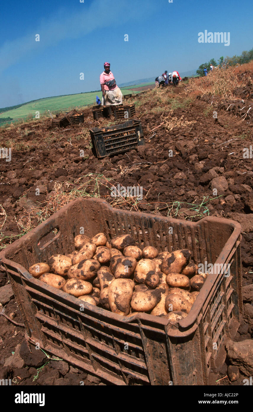 Kwa zulu land hires stock photography and images Alamy