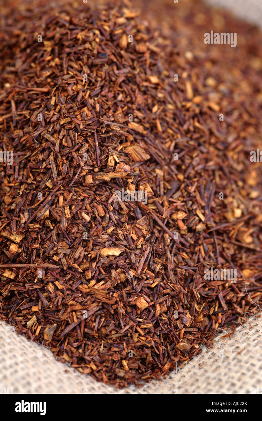 Pile of Dried Rooibos Tea Leaves (Aspalathus linearis Stock Photo Alamy