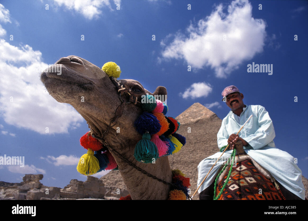 Camel great pyramid giza hi-res stock photography and images - Alamy