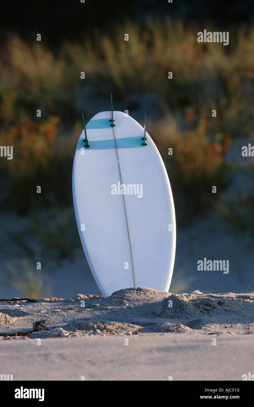Surfboard Pegged into the Beach Sand Stock Photo