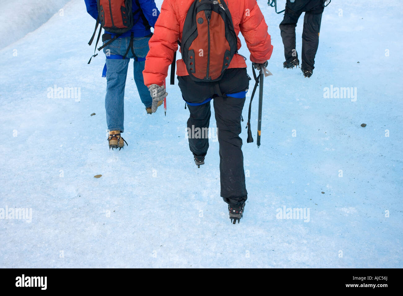 Rear View of Tourists Hiking on Glacier Grey Stock Photo