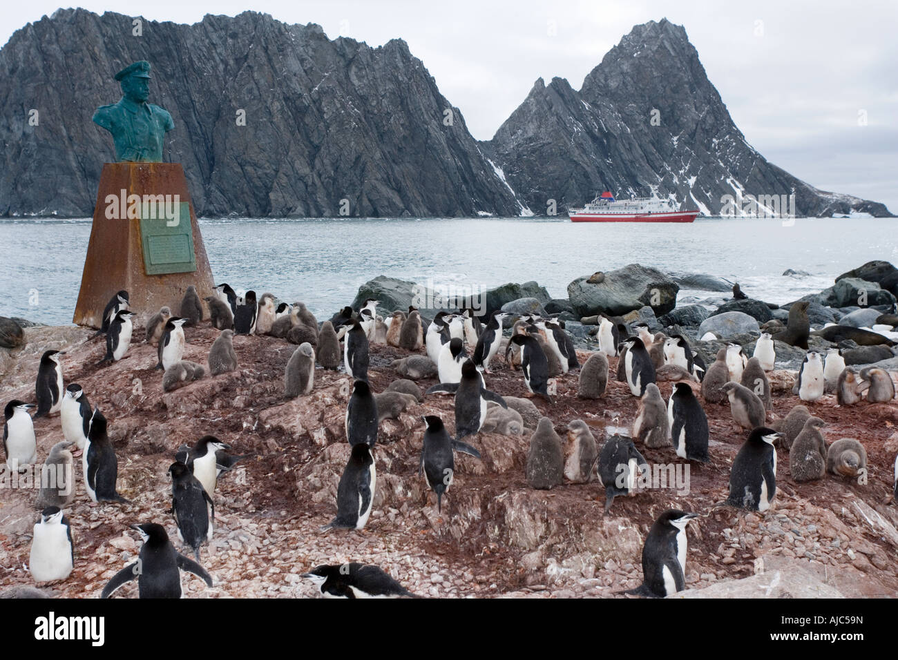 Elephant Island South Shetland Islands Antarctica Stock Photo