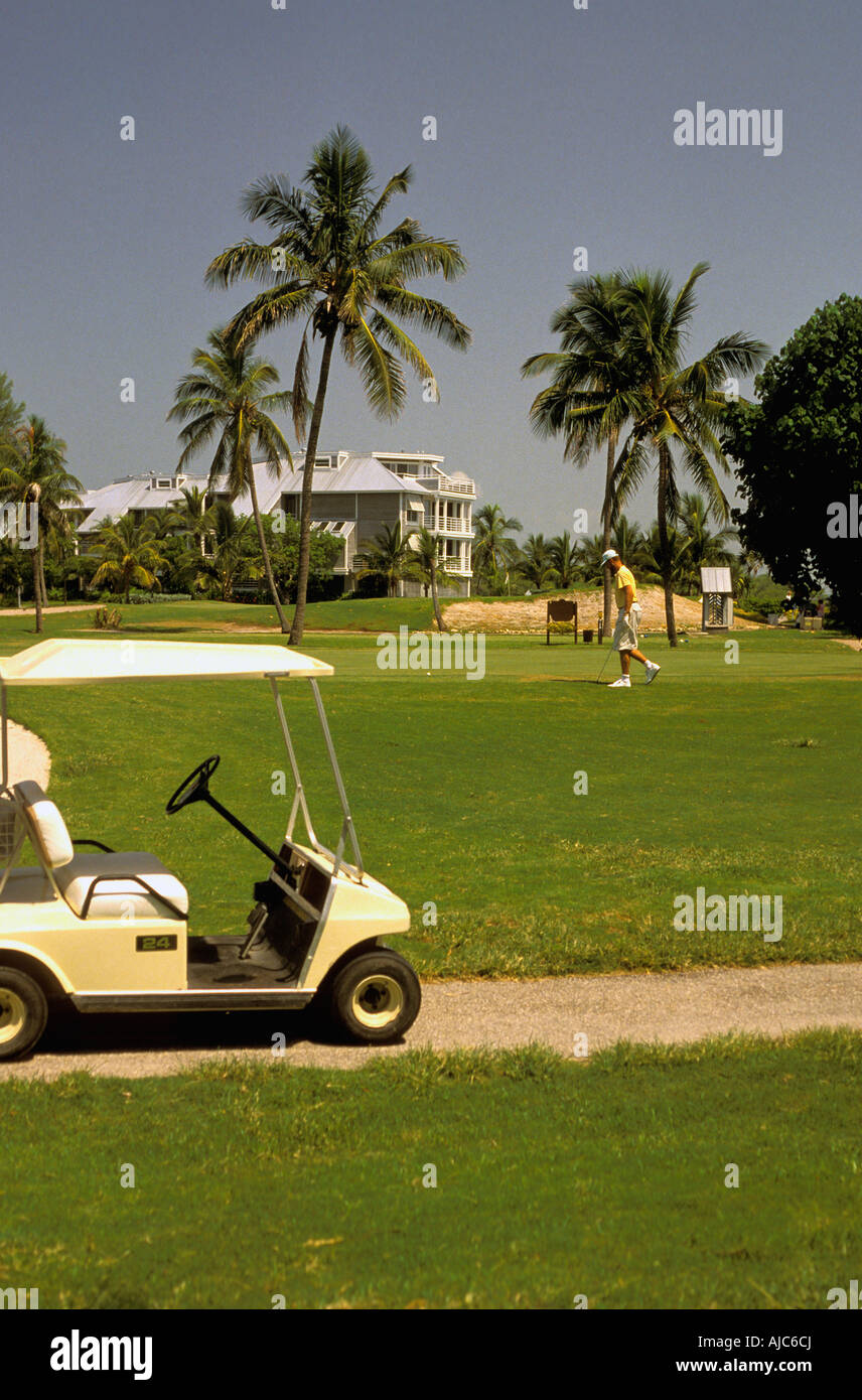 Captiva Island golf cart at golf course, plam trees, south seas