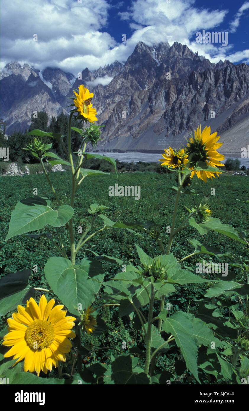 Tupodan hires stock photography and images Alamy