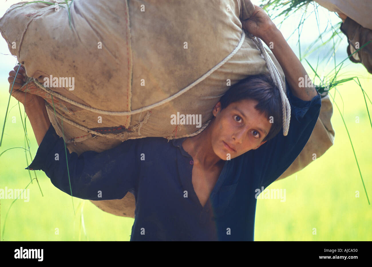 Portrait of a Pakistani man laden with a sackload of freshly cut rice Paddy fields near Mingora en route to the Swat Valley Stock Photo