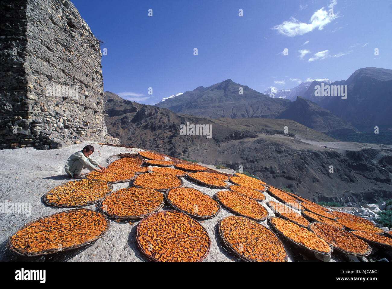 PAKISTAN Sunbaked Apricots laid in baskets to dry Altit Fort Karimabad Hunza Valley Karakoram Highway Pakistan Stock Photo