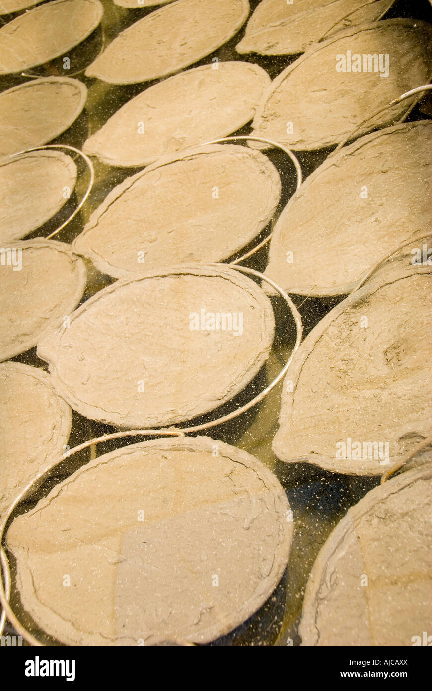 Thermal mud italy hi-res stock photography and images - Alamy