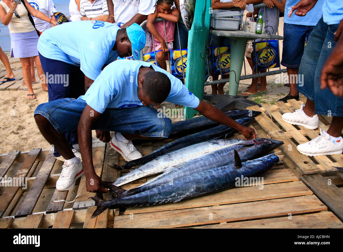 The Nevis Fishing Competition in the Caribbean Stock Photo