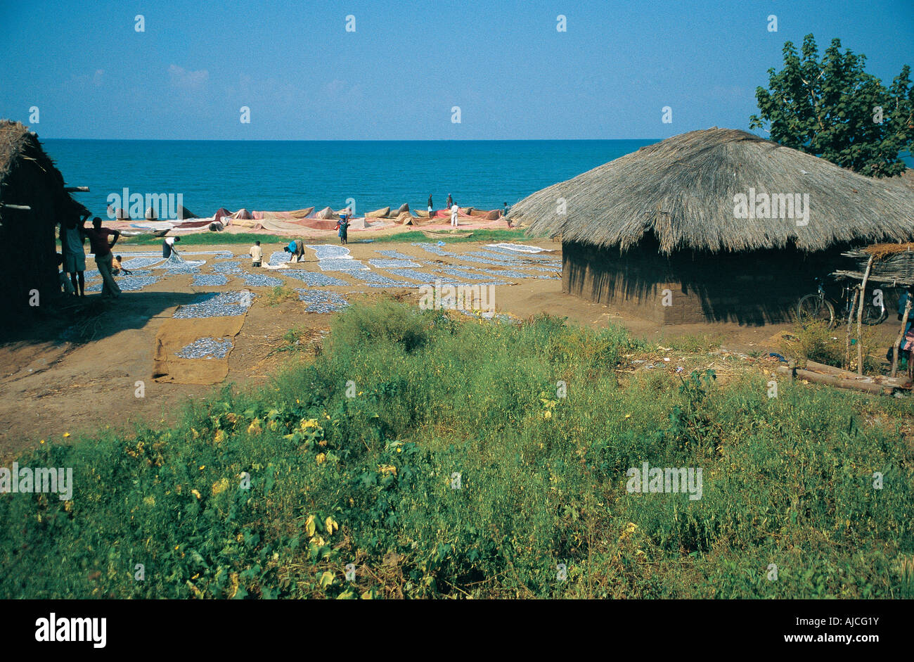 A traditional African fishing village on the shore of Lake Malawi Malawi southern Africa Stock Photo