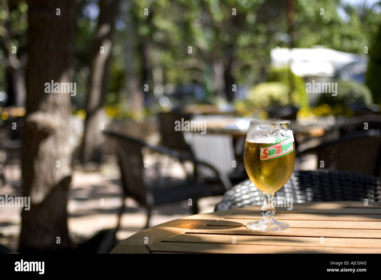 Lager glass on table  Stock Photo